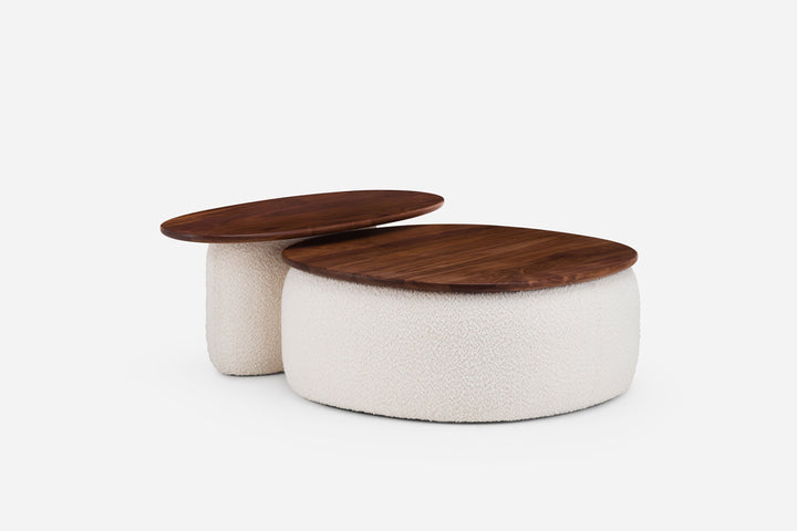 DANISH OILED WALNUT & ELLE 200 (MODEL 140M + 139S GRACIOSA)