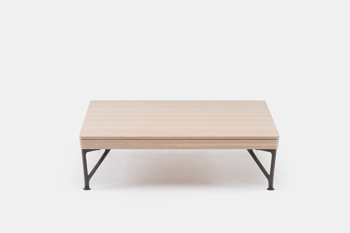 WHITE OILED OAK & CAST IRON